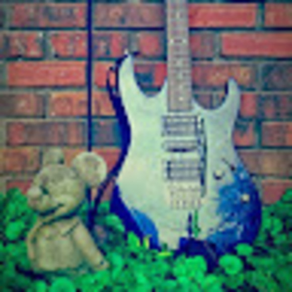 Meet your Posher, Eli - Picture 1 of 1